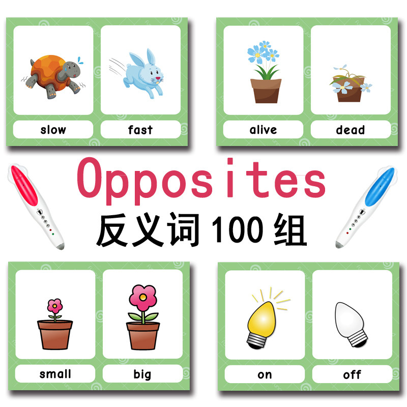 The 100 Groups Opposites Flash - Kids Education Product 评论和价格