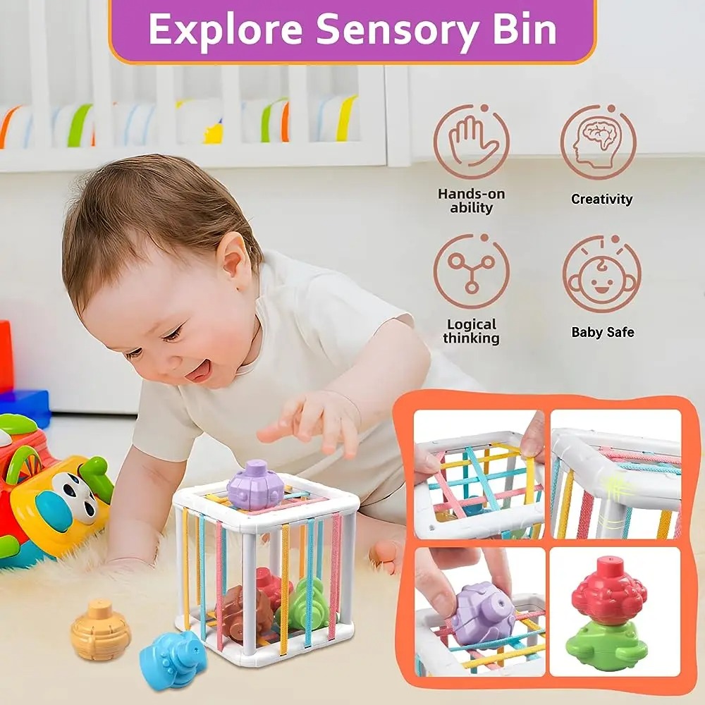 Rainbow Colorful Montessori Sh - Kids Education Product 评论和价格
