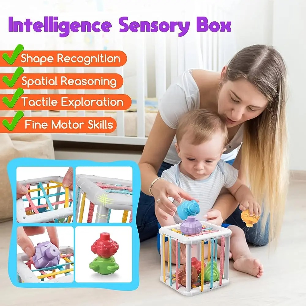Rainbow Colorful Montessori Sh - Kids Education Product 评论和价格